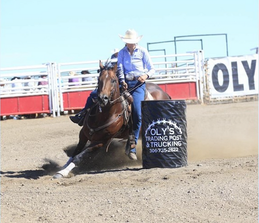 Spinney Hill Performance Horses are a North 40 Performance Ambassador