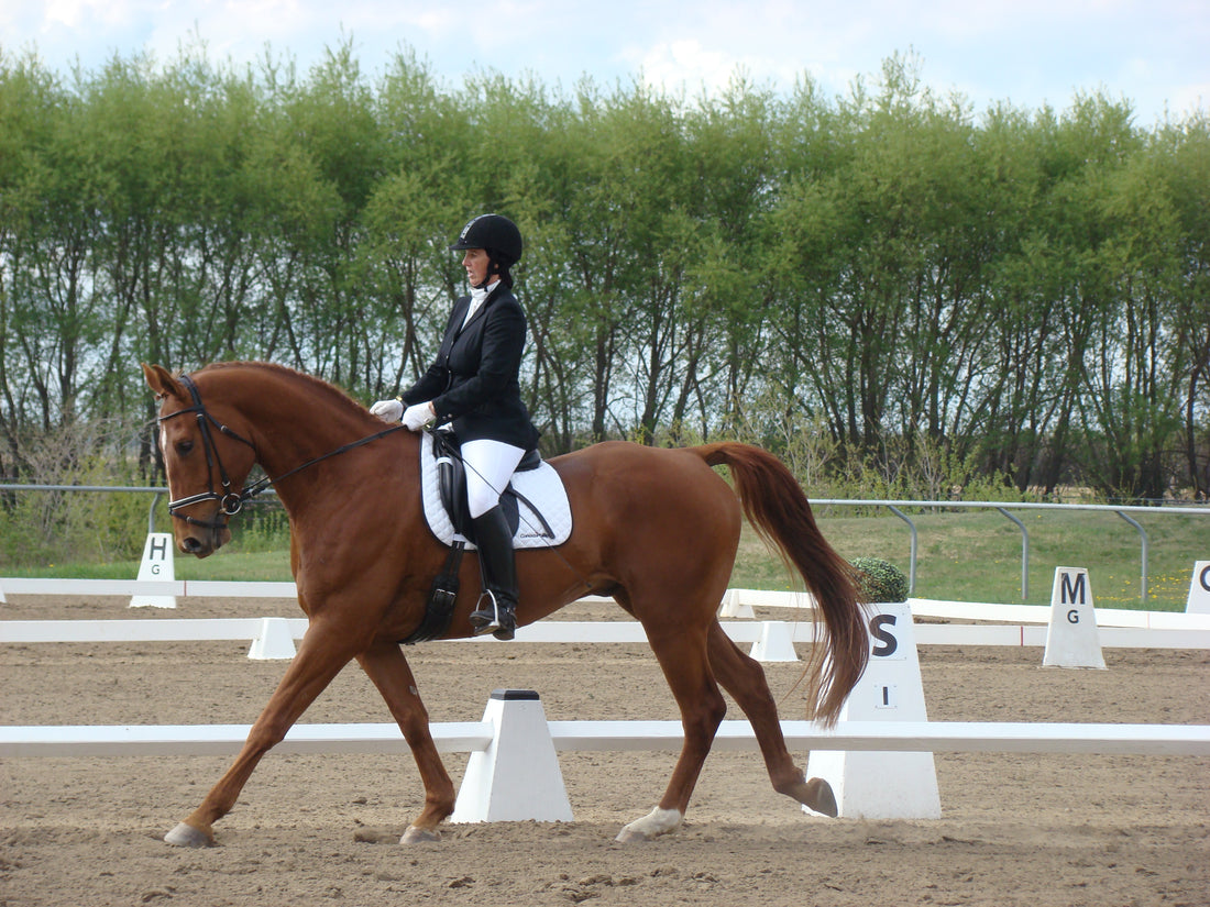 Susanne Rauhut, Wildwood Alberta (Dream Weaver Farm)