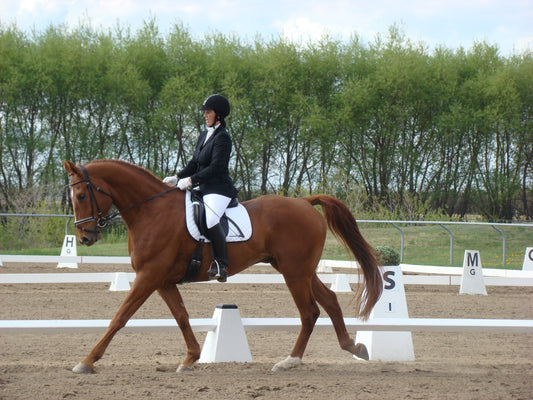 Susanne Rauhut, Wildwood Alberta (Dream Weaver Farm)