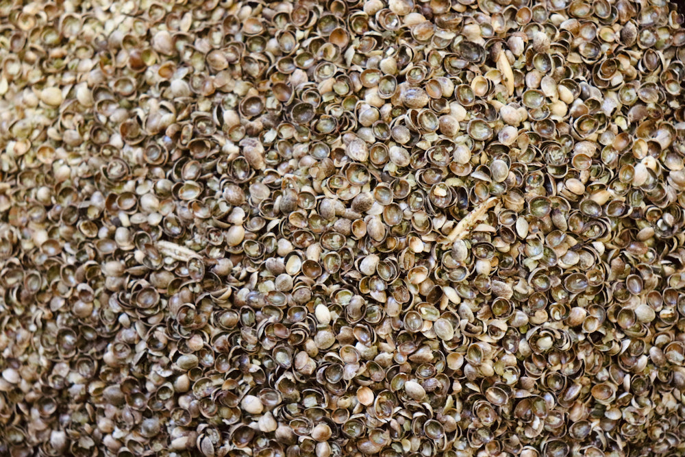 Sample Size Fibre Plus