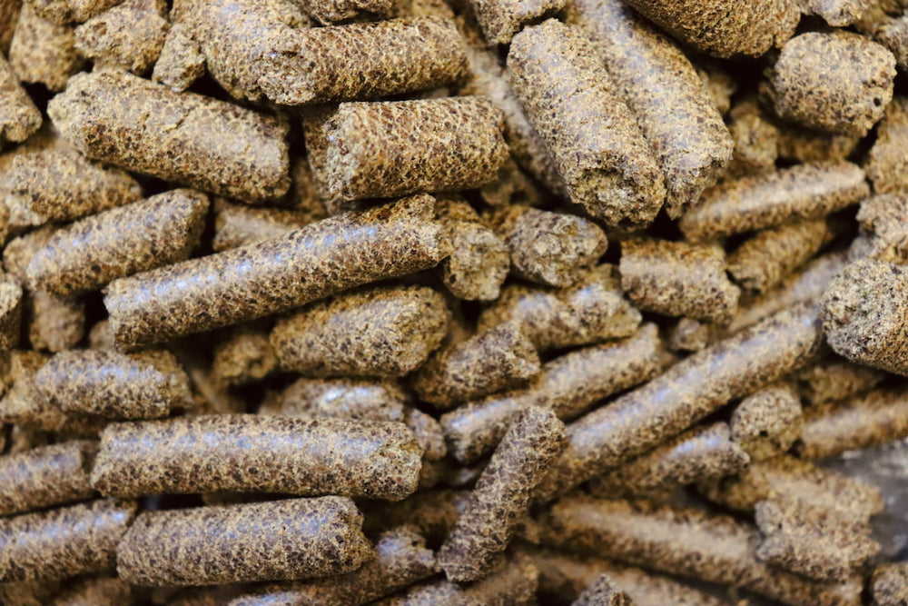 Sample Size Protein Bites