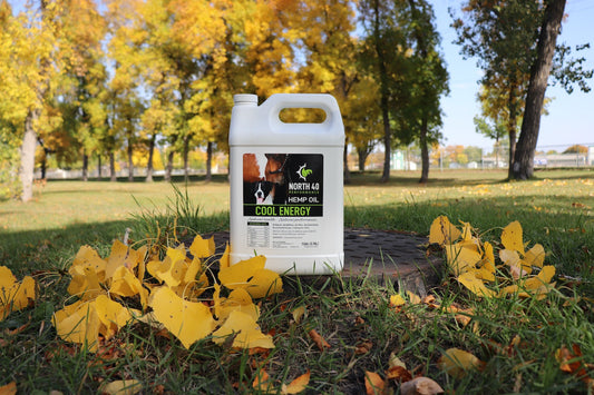 Cool Energy Hemp Oil