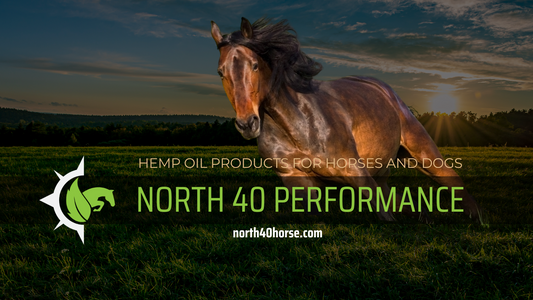 North 40 Performance horse