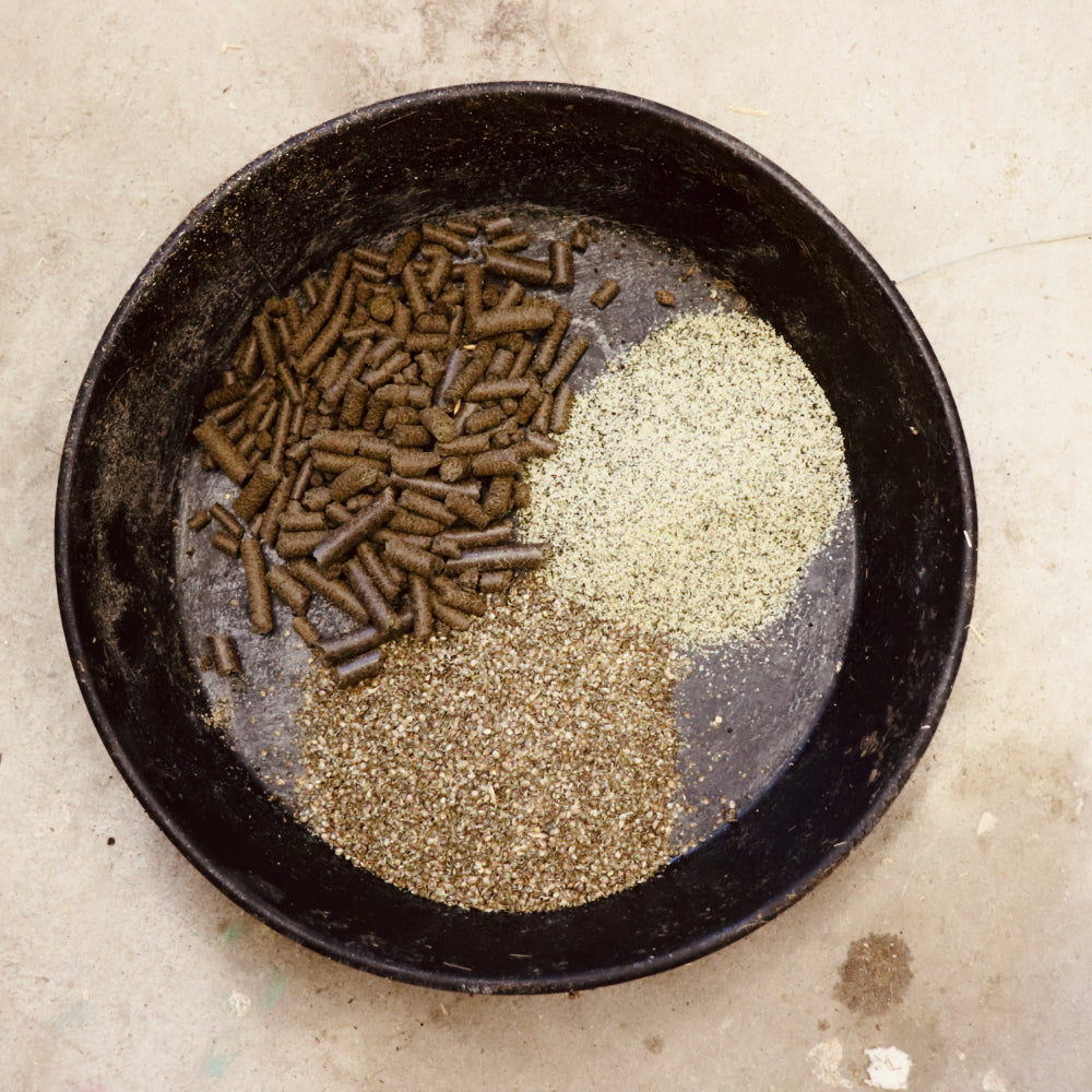 Hulls, pellets and hemp seed products in a horse feed dish.