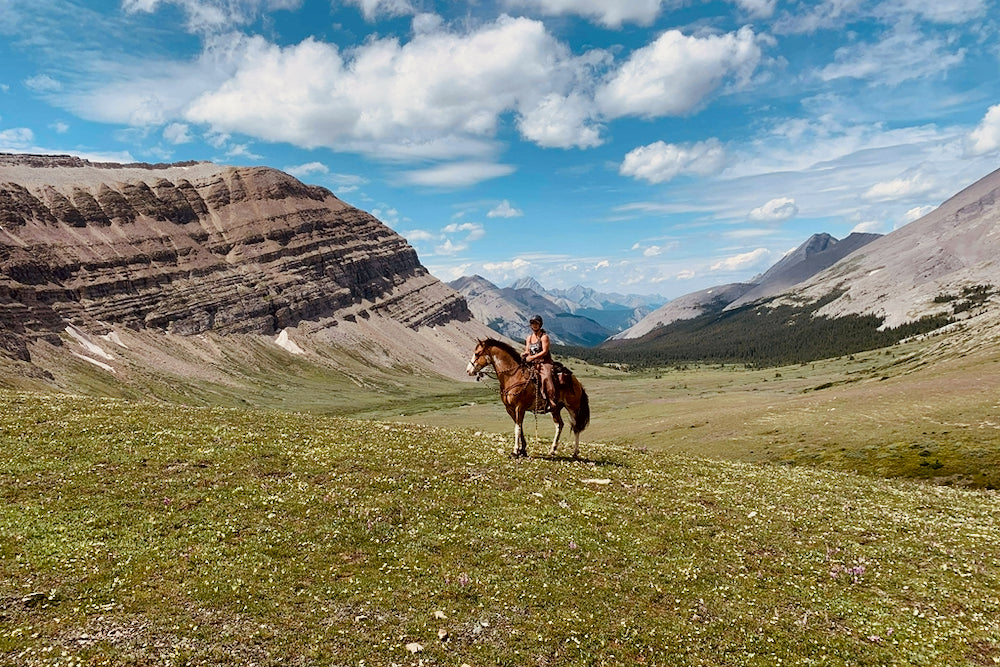 Horse riding over hills in the mountain. Trail Riding