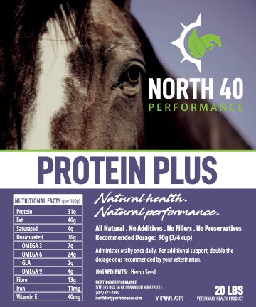 Protein Plus fact sheet with health info